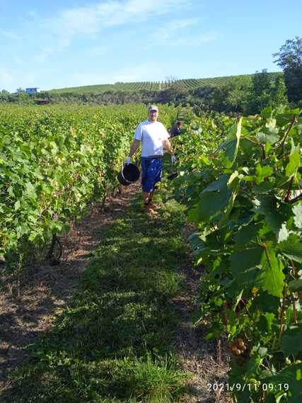Vážení a milí příznivci našeho Sklípku u cyklostezky! Intenzivně vám děkuji za vaši podporu!!! Nesmírně si vážím nejen vašich finančních příspěvků, ale především zájmu o naše vinaření!! Společnými silami jste překonali milník 55 000 Kč a přinesli tak velké nadšení a optimismus do našeho života a ujistili jste mě, že to, co dělám, má smysl! Vás bych na oplátku rád ujistil, že každá koruna z tohoto projektu bude investována s rozvahou a přispěje k vylepšení a rozvoji našeho sklípku. 