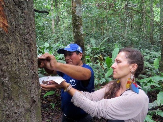 S kamarádem Vincentem jsem se vydala do hlubokého pralesa pro léčivou kůru stromu Ayahuma.