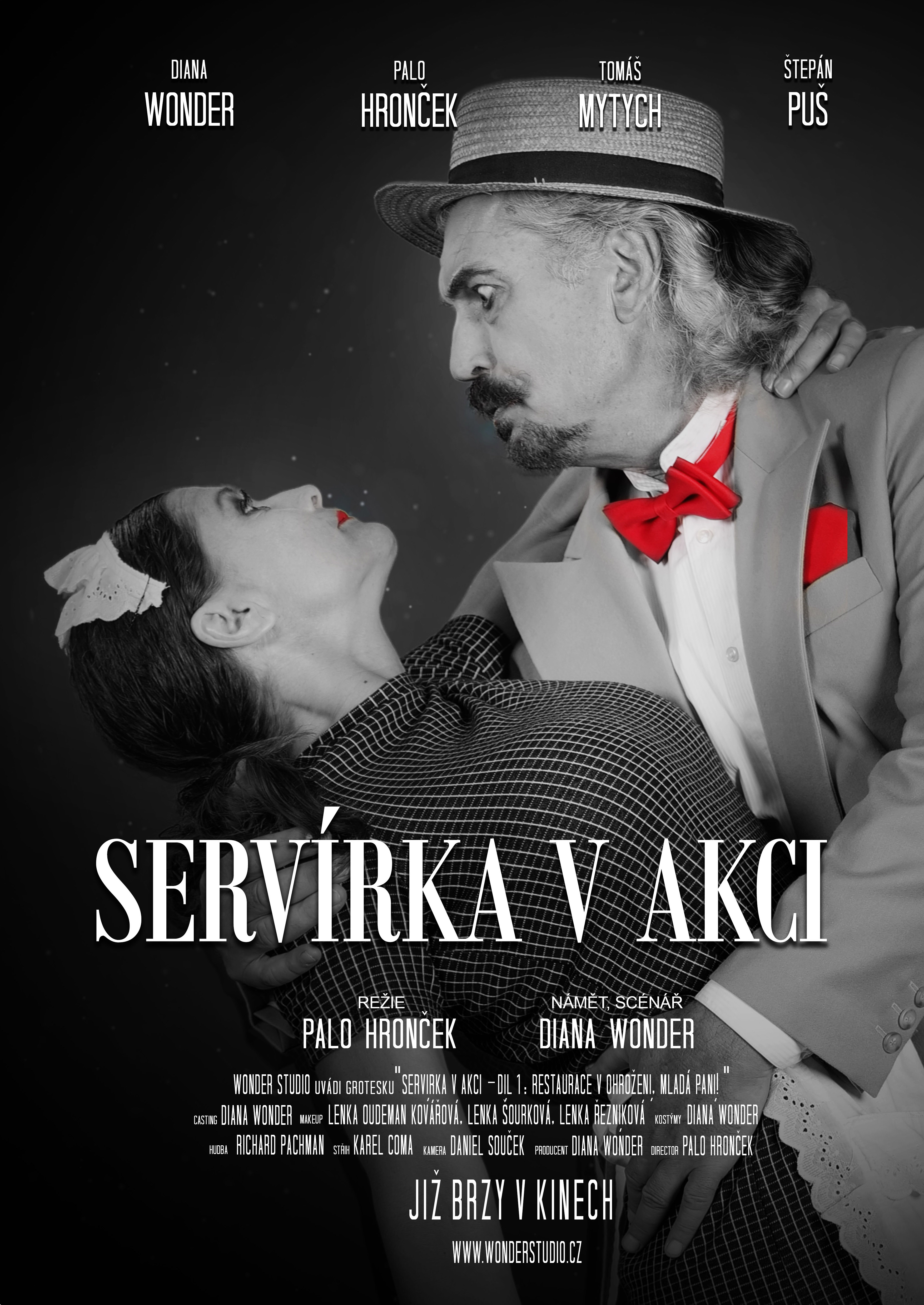 Plakát k prvnímu dílu série Servírka v akci 