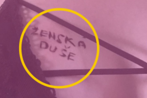 Obrázek projektu