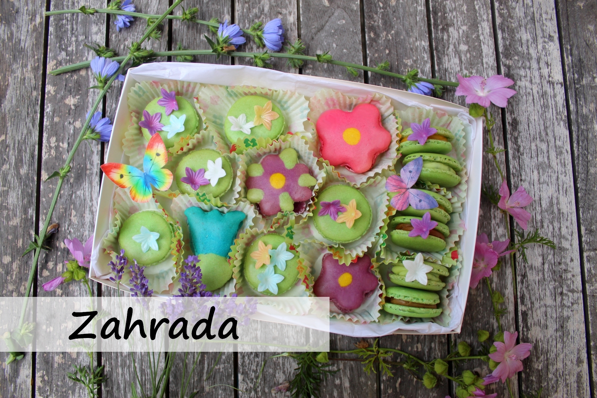 Makronky na téma „Zahrada“
