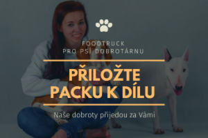 Obrázek projektu