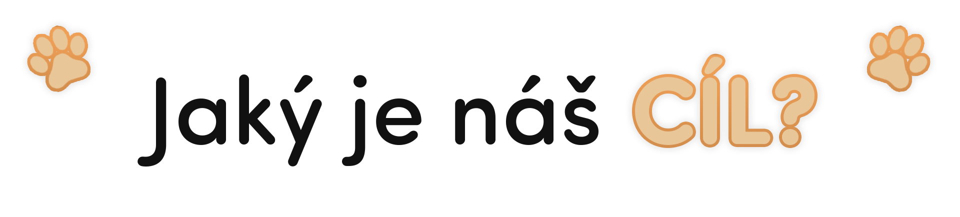 Nadpis Jaký je náš cíl?