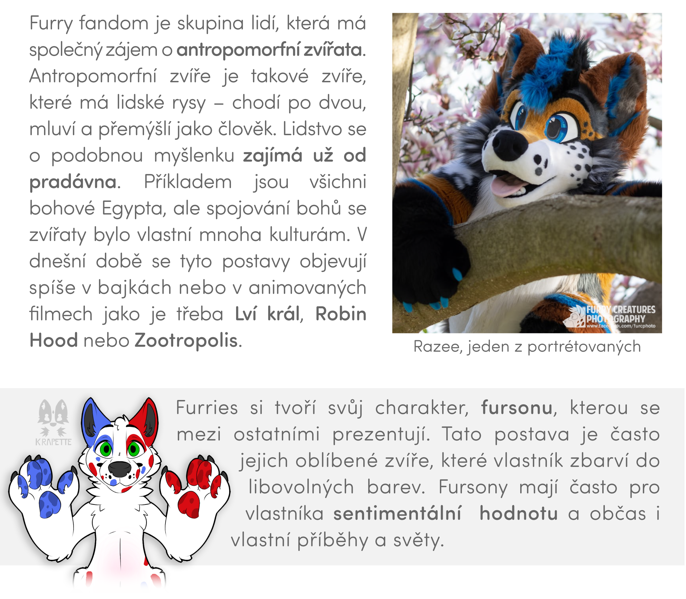 Text Co je to Furry Fandom?
