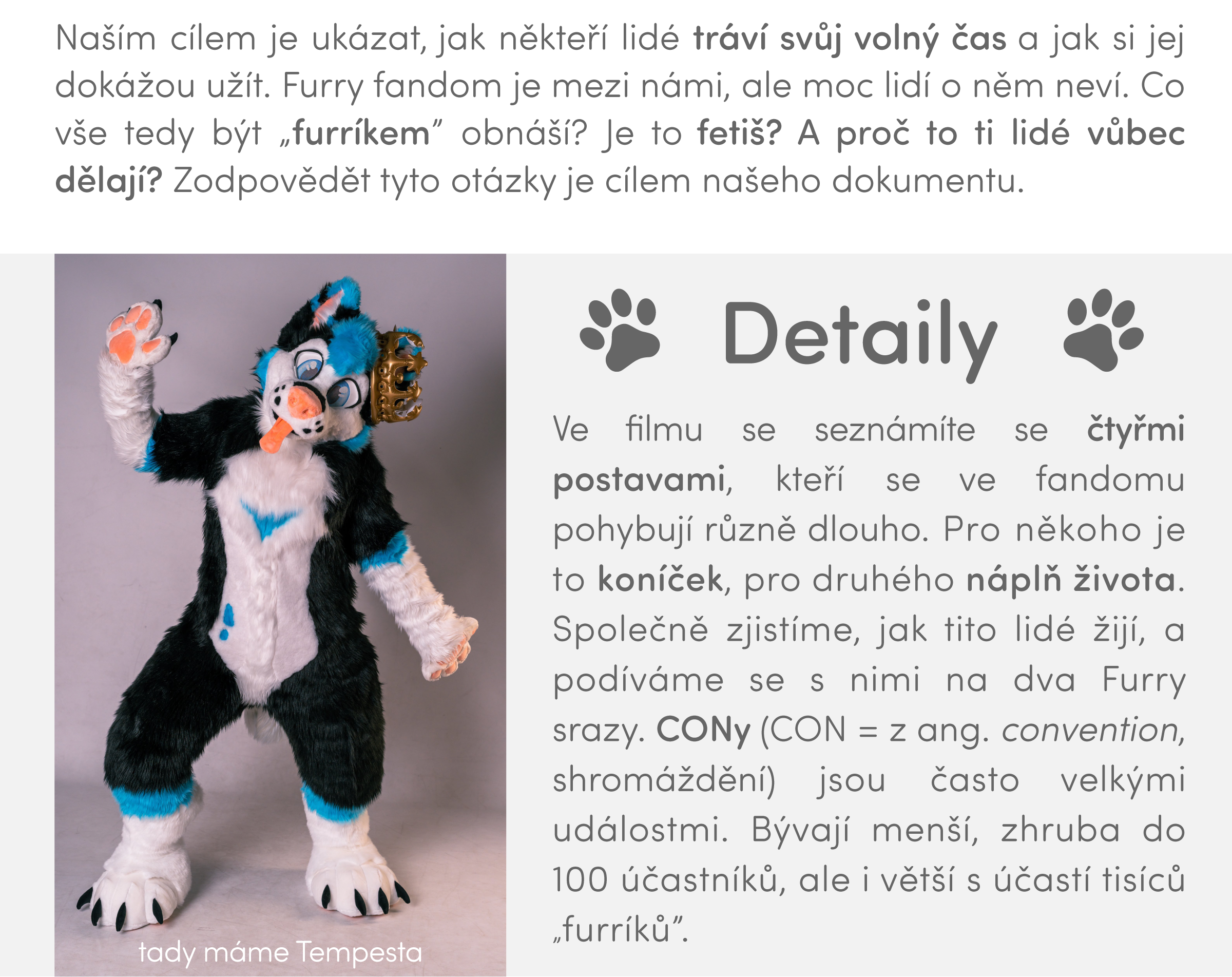 Text Jaký je náš cíl?