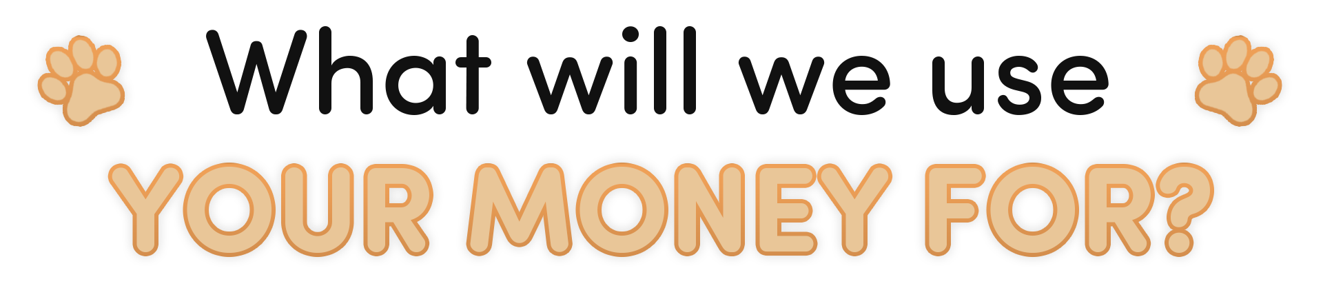 Header what will we use your money for?