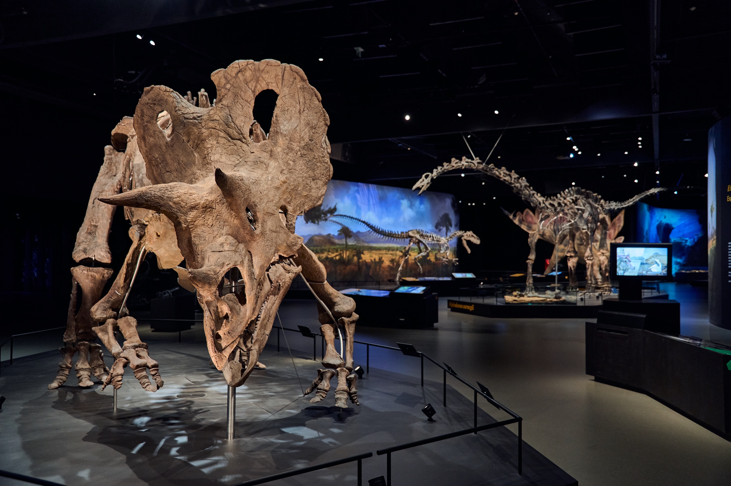 Praví dinosauří v Dinosauria Museum Prague