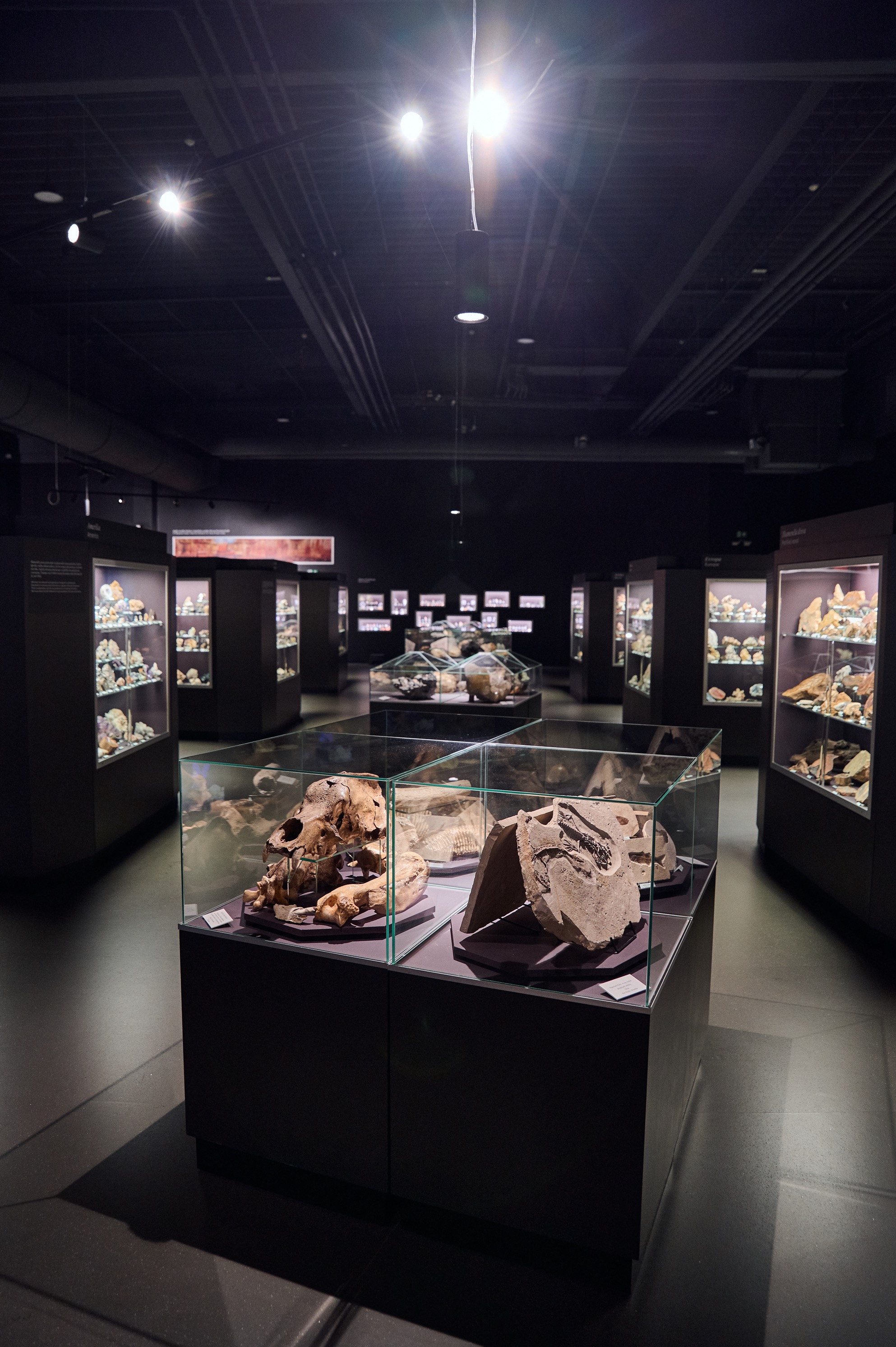 Expozice Geosvět, Dinosauria Museum Prague