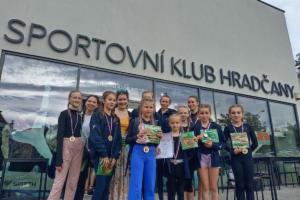 Obrázek projektu