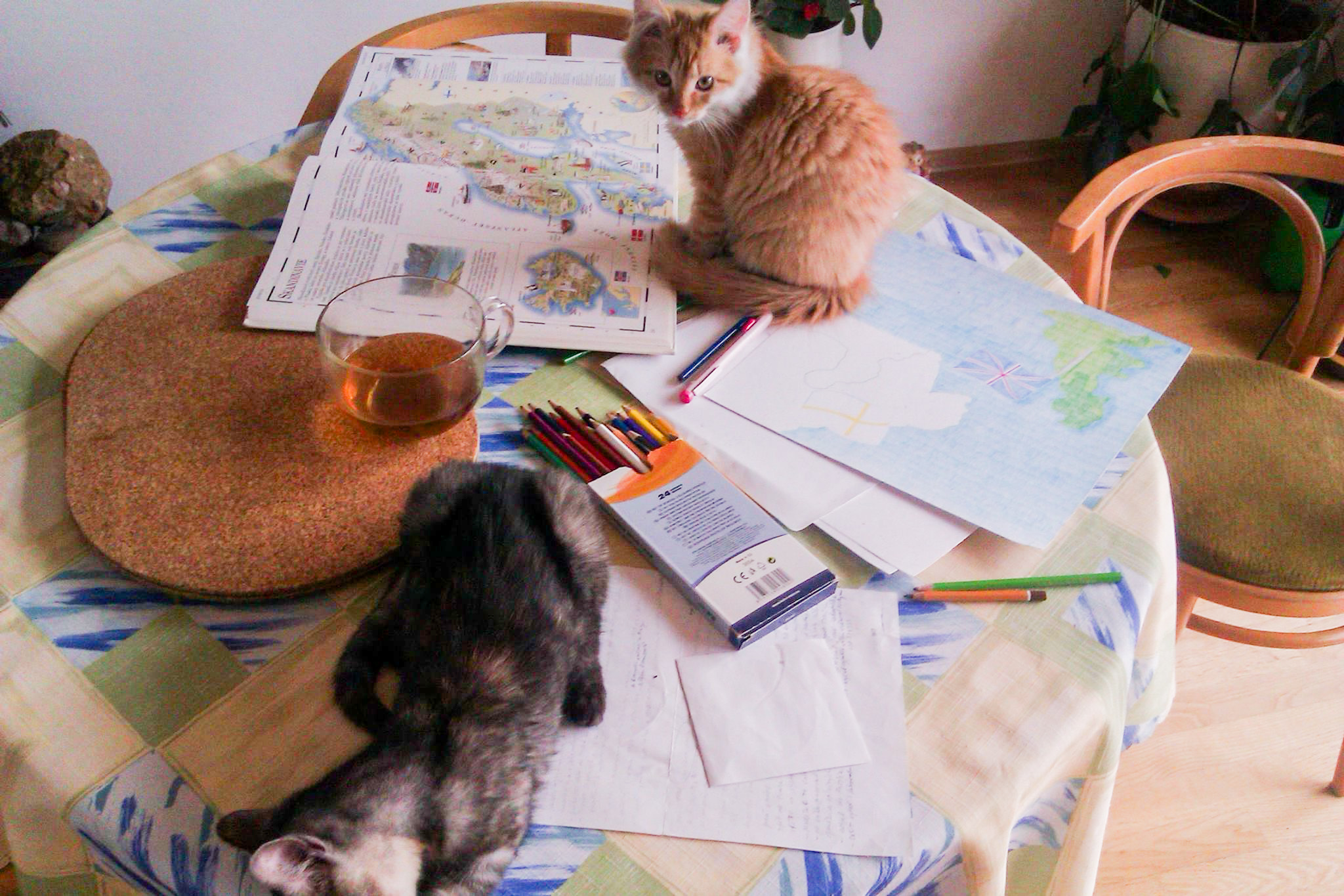 Můj pracovní prostor s pomocníky