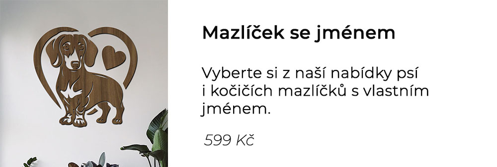 Mazlíček se jménem