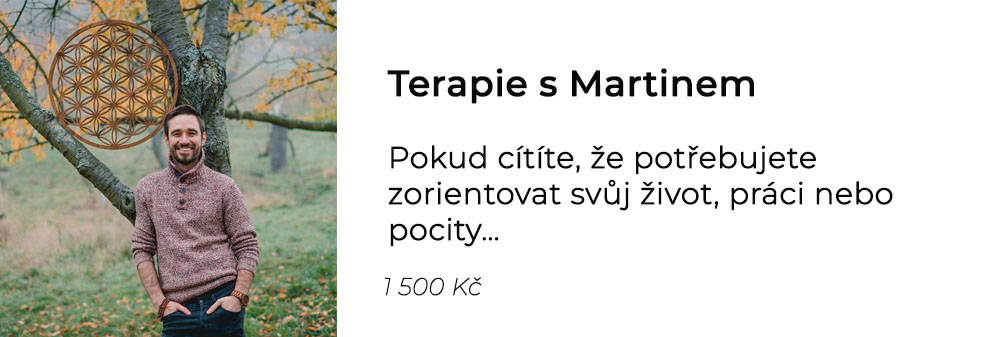Terapie s Martinem