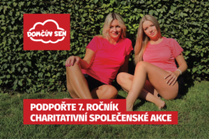 Obrázek projektu