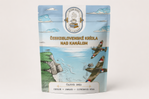 Obrázek projektu
