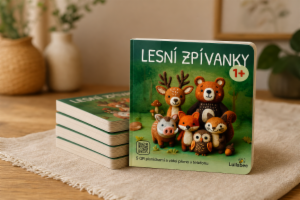 Obrázok projektu