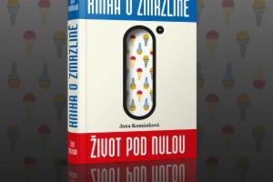 Obrázek projektu