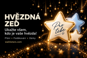 Obrázok projektu