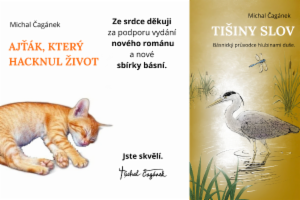 Obrázok projektu
