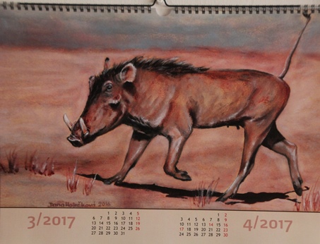 list kalendáře Afrika 2017