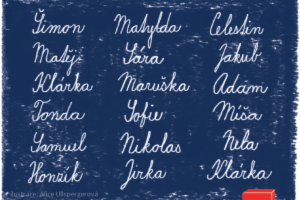 Obrázek projektu