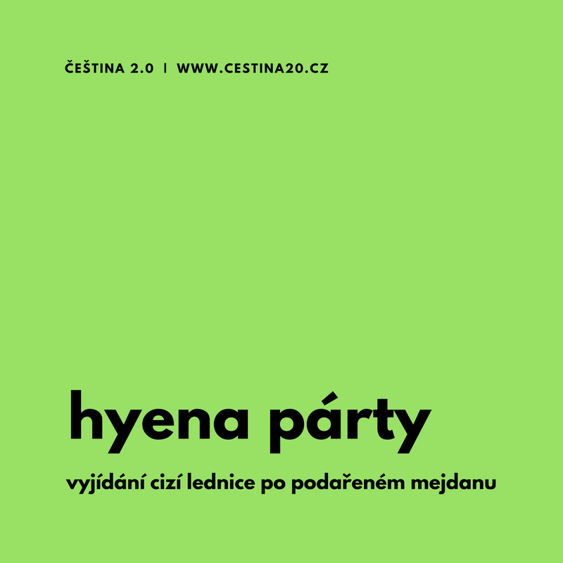 Hyena párty: vyjídání cizí ledničky po podařeném mejdanu