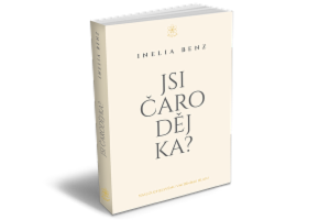 Obrázek projektu