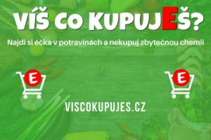 Obrázek projektu