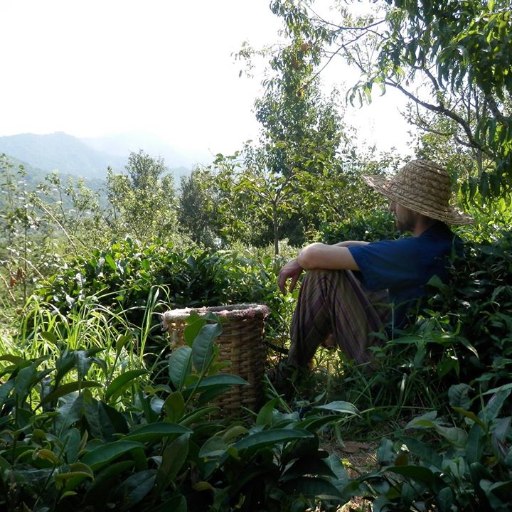 Prostě jen tak odpočíváš mezi čaji... (Kuba na Zahradě, 2017)