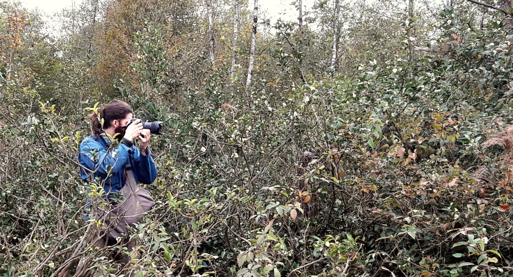 Brother Sur mezi divokými čajovníky na Zahradě 