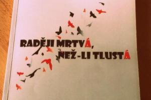 Obrázek projektu