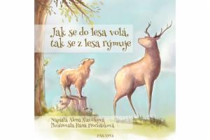 Obrázek projektu