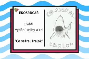 Obrázek projektu