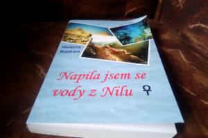 Obrázek projektu