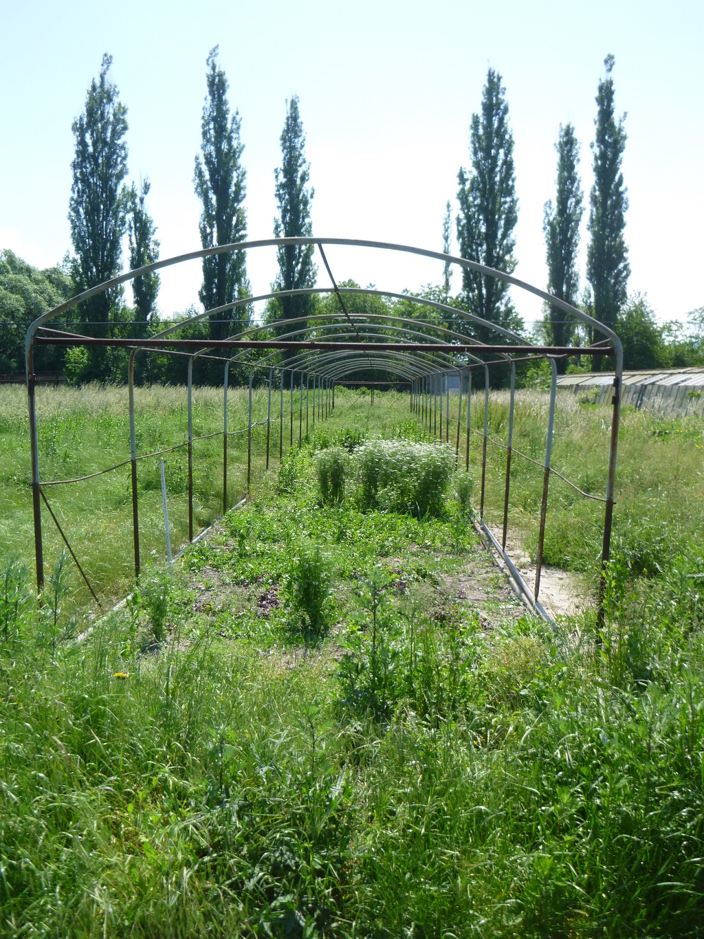 Pátý skleník nebo spíš to, co z nich zbylo?