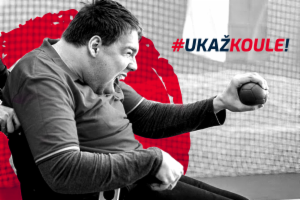 Obrázek projektu
