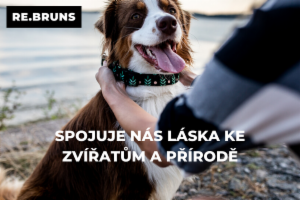 Obrázek projektu