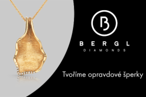 Obrázek projektu