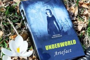 Obrázek projektu