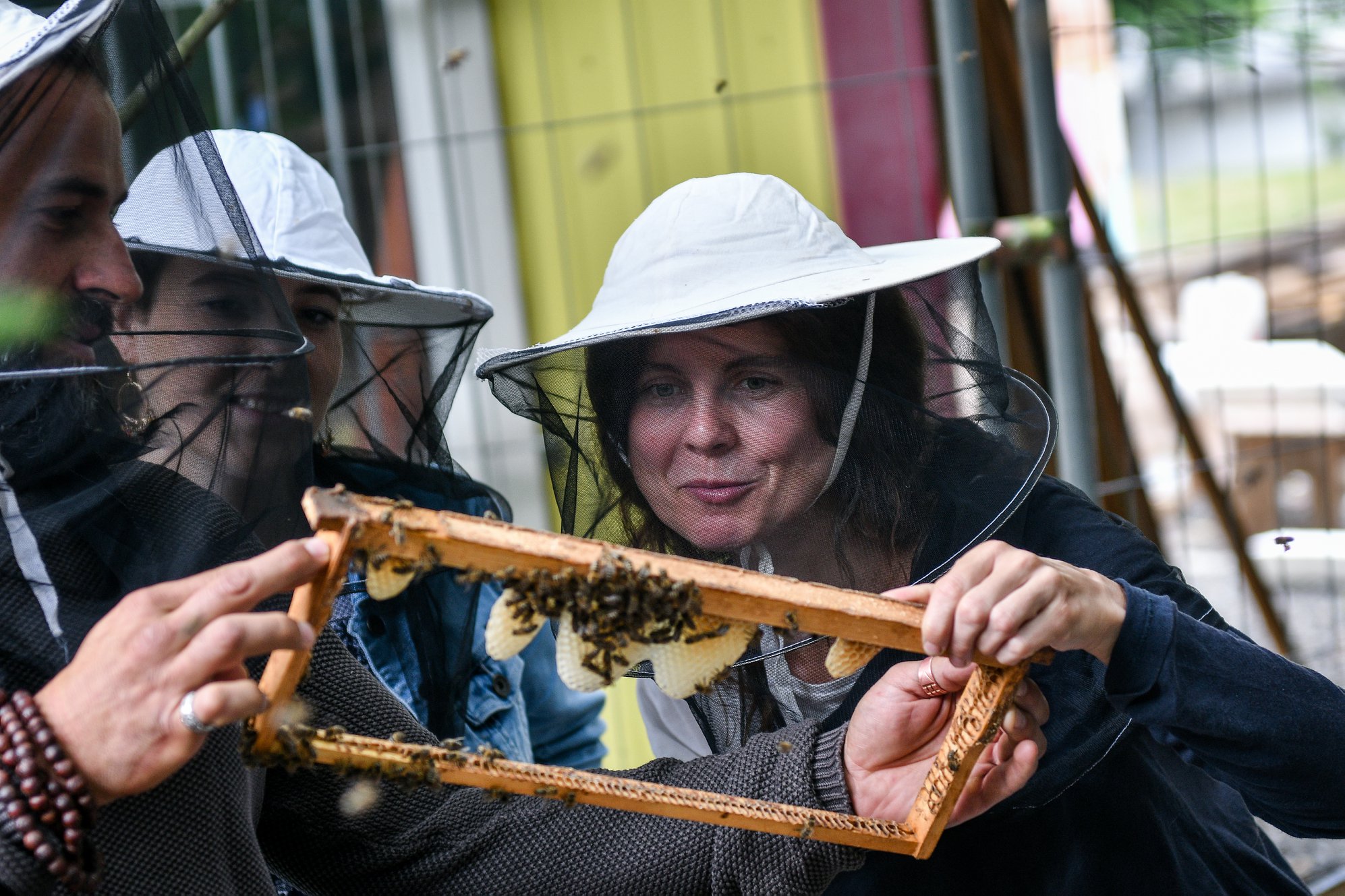 Pozorování včel - kurz ekologického včelaření