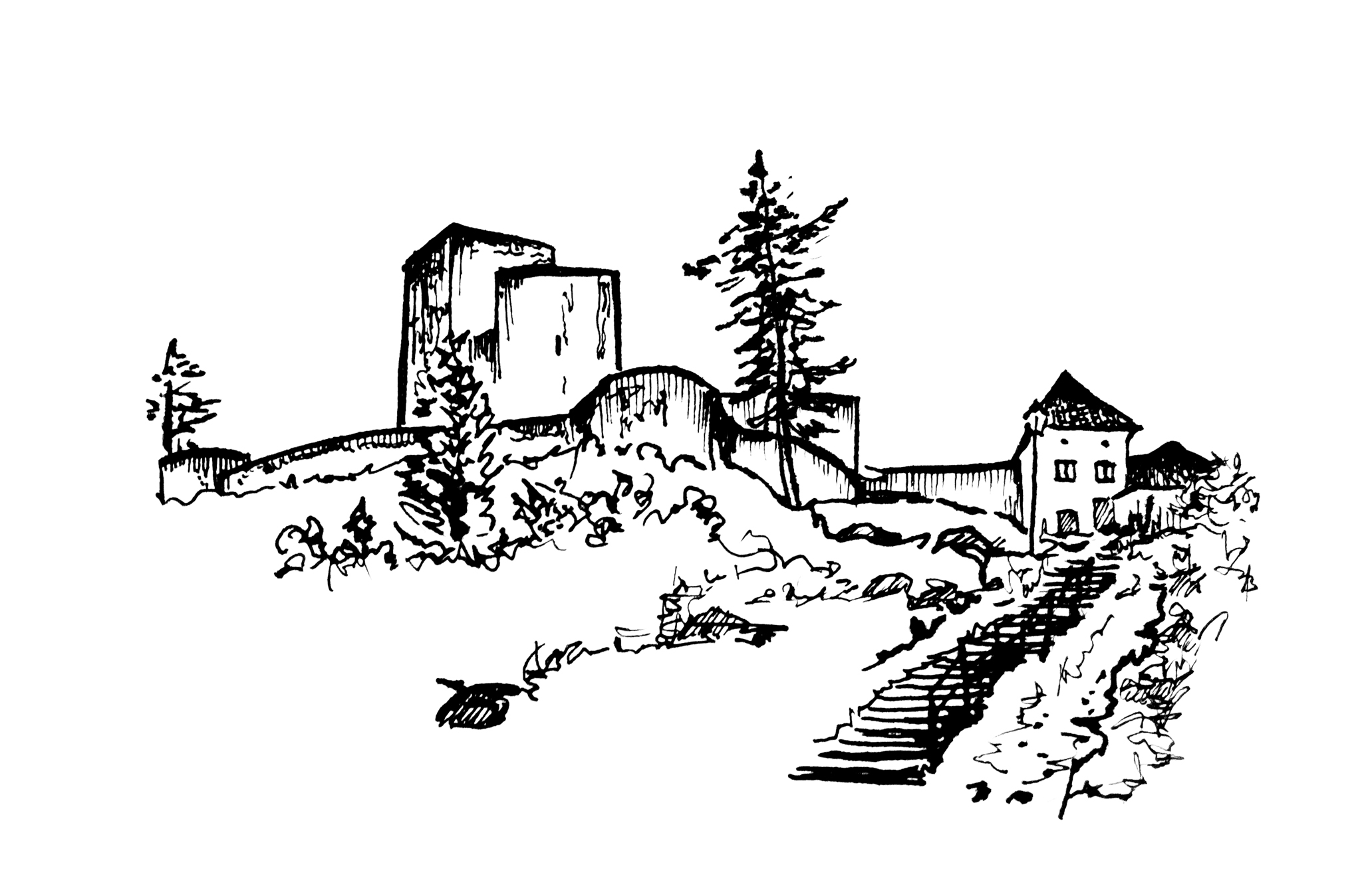 ilustrace: Martina von W