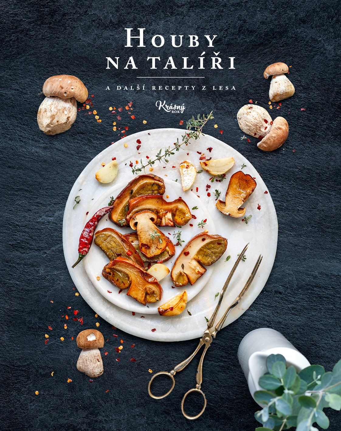 Vydáme tuhle krásnou houbovou kuchařku? S vaší pomocí ano!