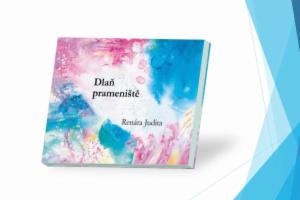 Obrázek projektu