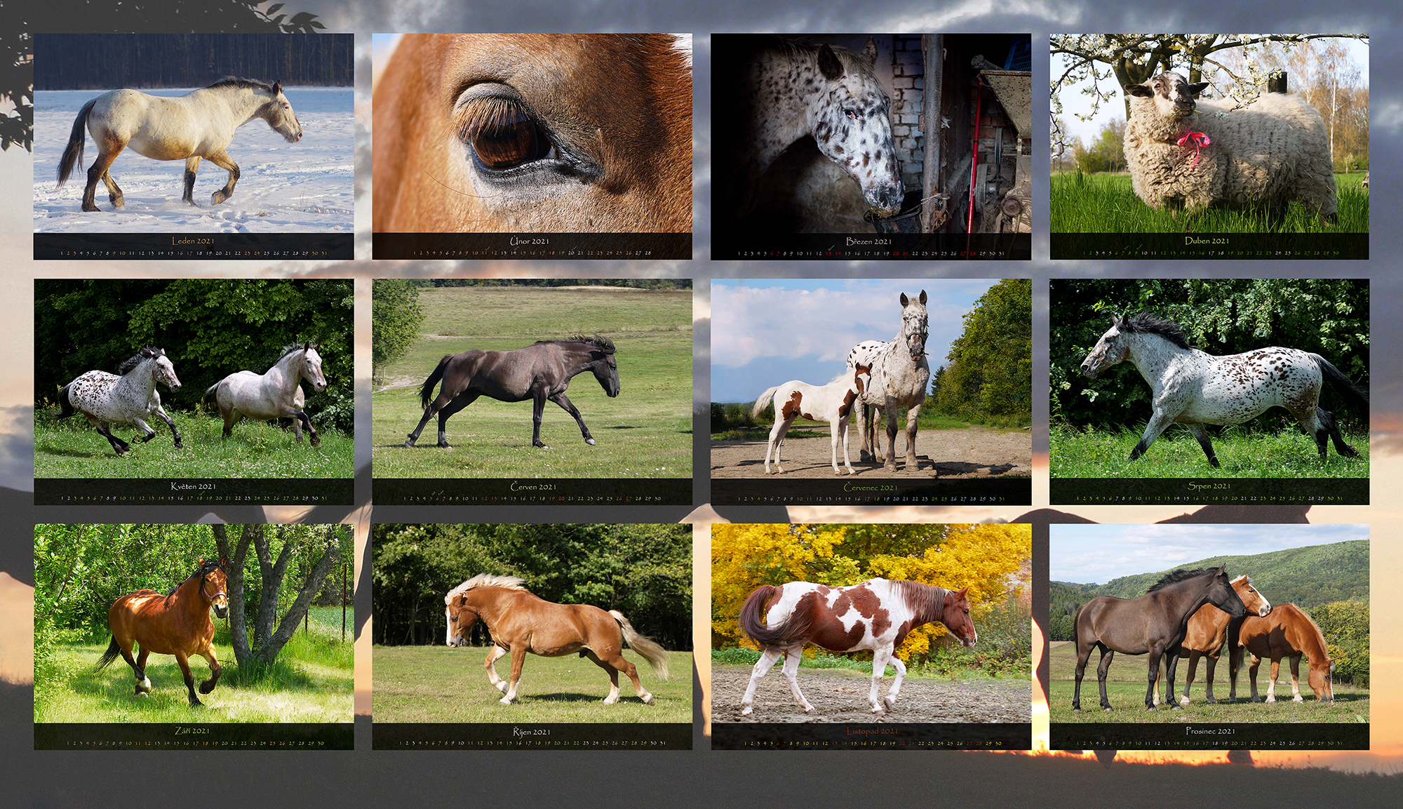 Kalendář JK Baba 2021