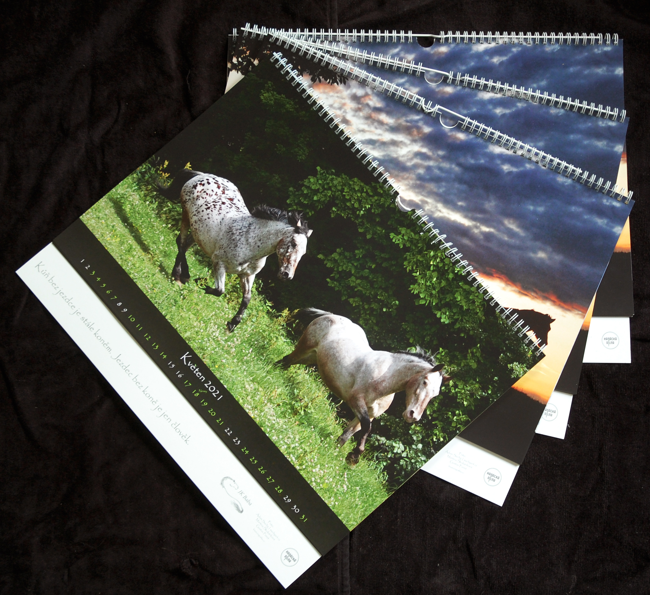 Kalendář JK Baba 2021