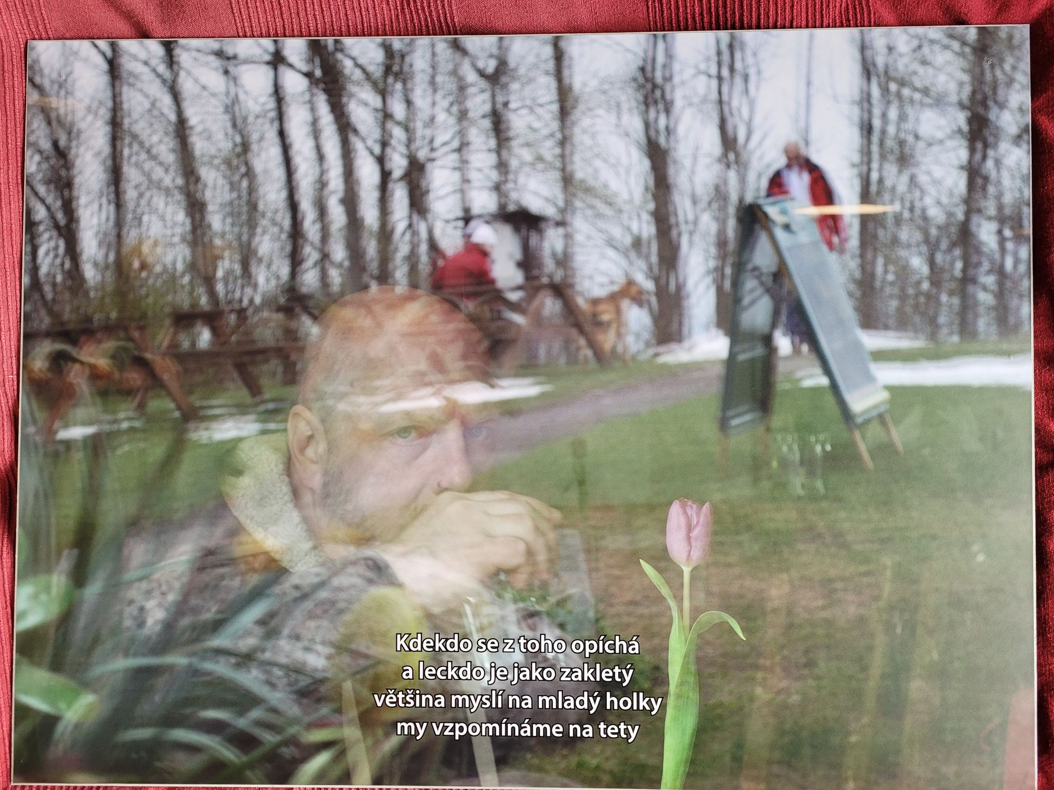 Vitrholc Vizual: Jedna báseň