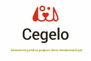 Obrázek projektu